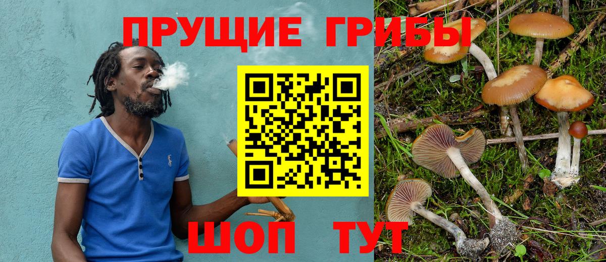 Рубцовск  Галлюциногенные грибы Cubensis  Вход с VPN 