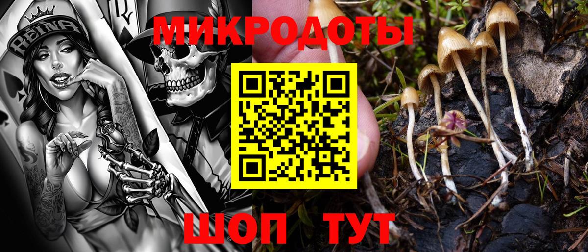 Псилоцибиновые грибы Psilocybine cubensis Рубцовск